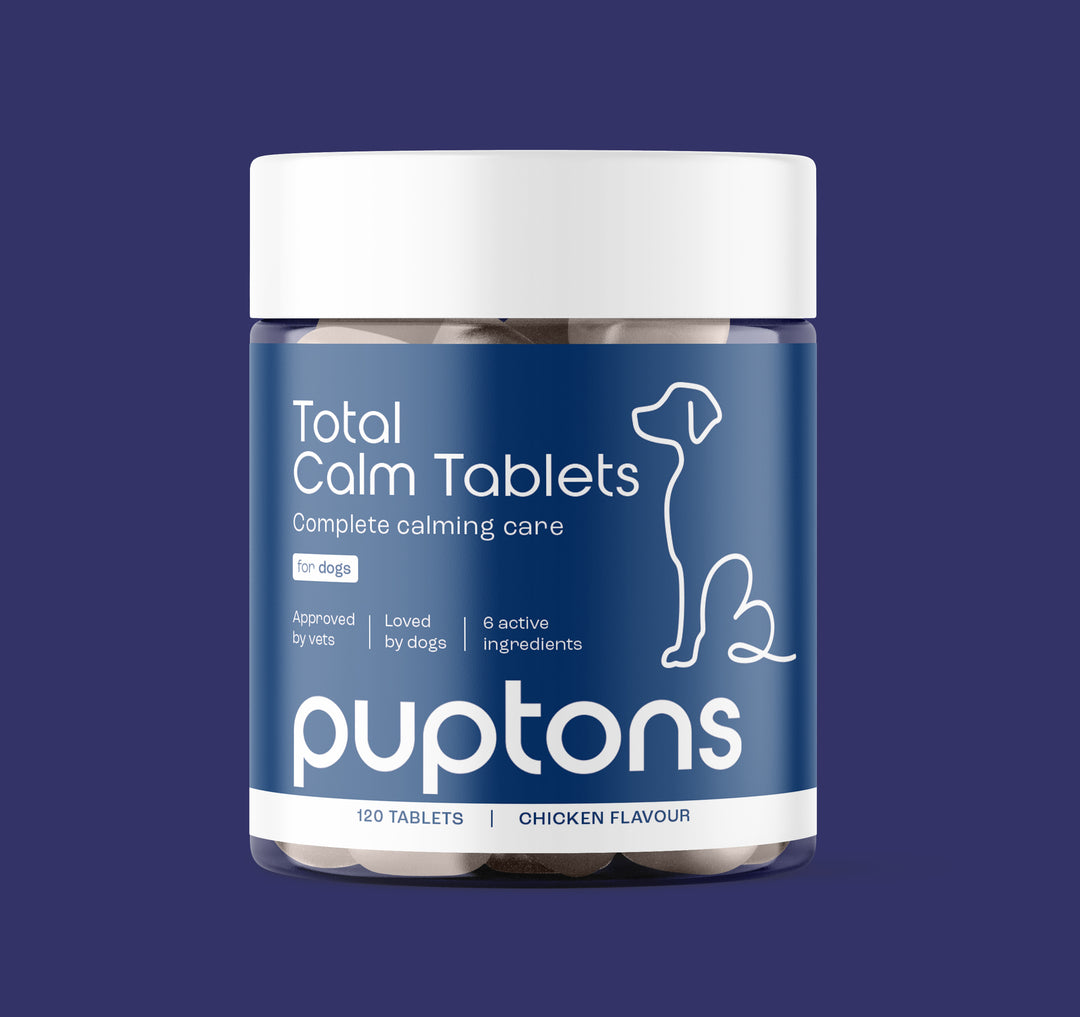 Calming & Anxiety Supplements for Dogs