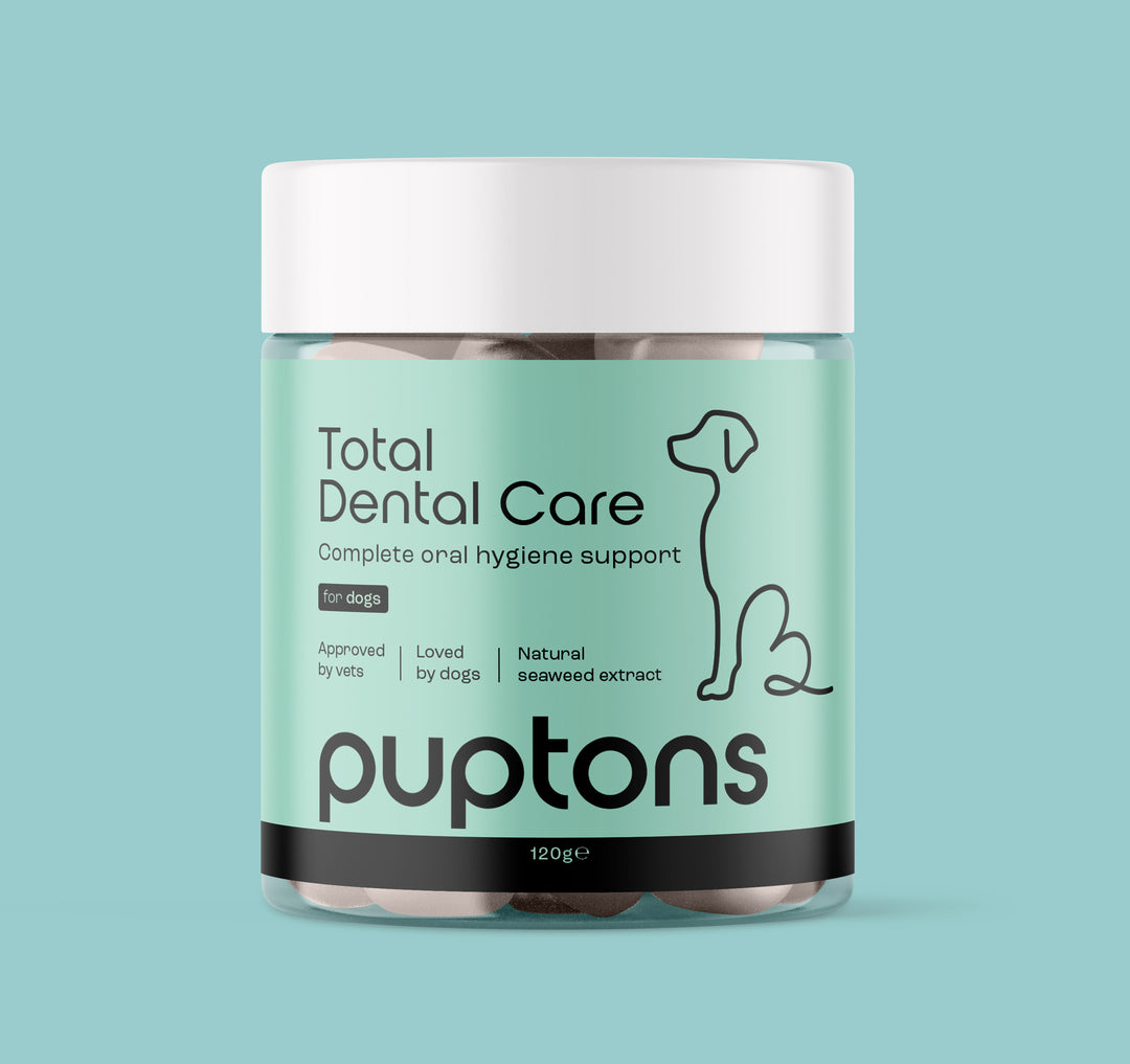 Dental & Oral Health Supplements for Dogs