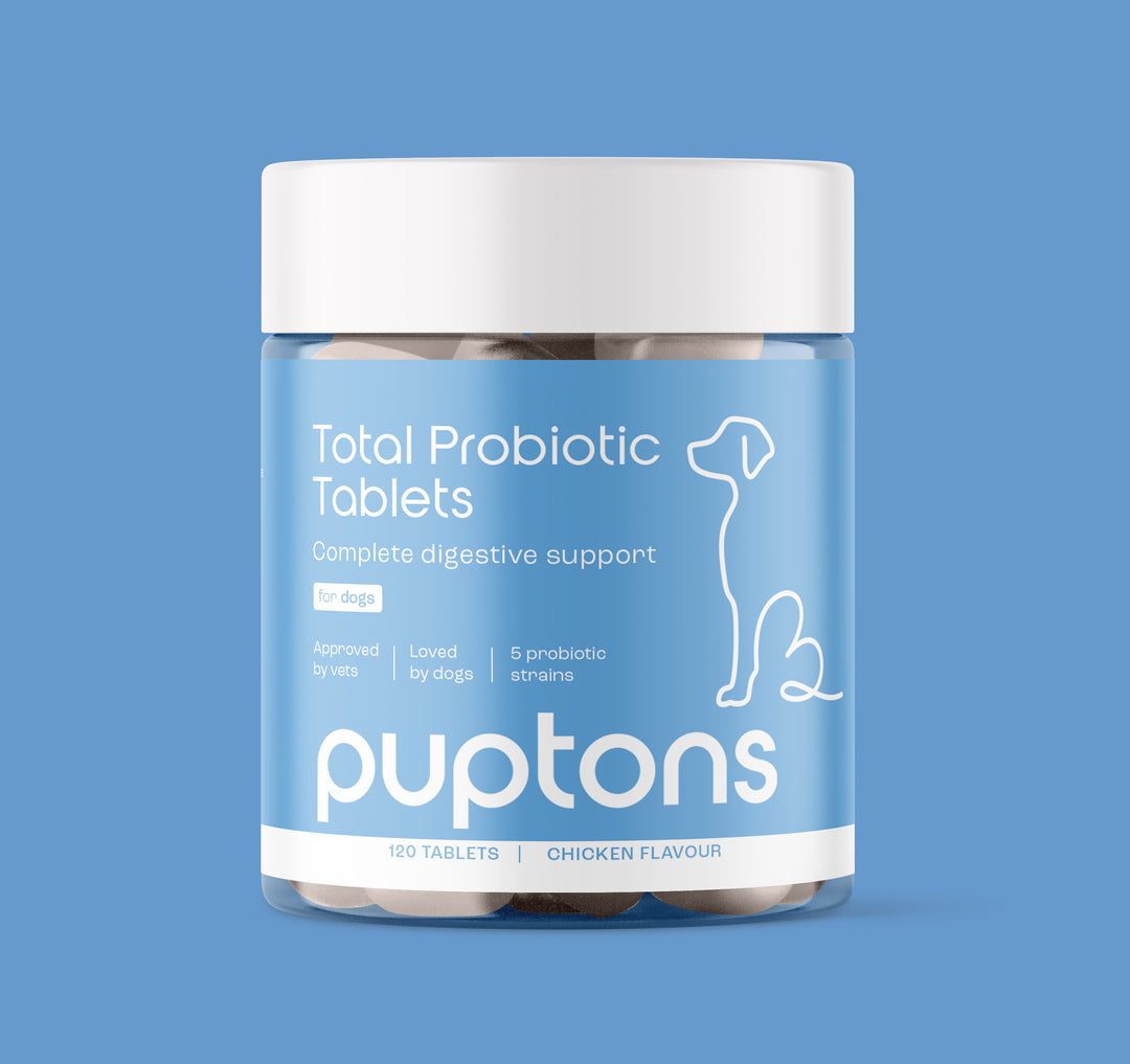 Digestion & Probiotic Supplements for Dogs