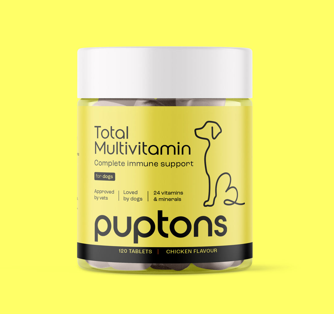Vitamins & Health Supplements for Dogs