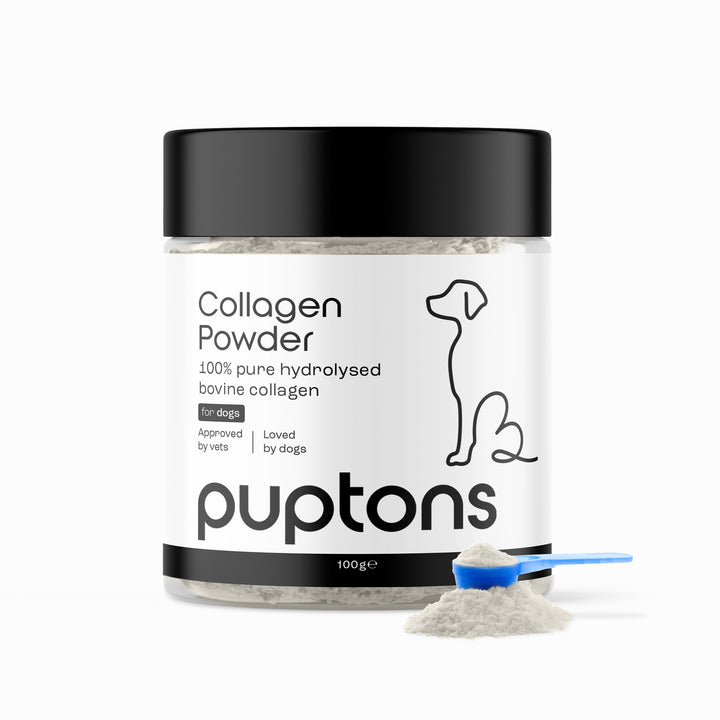 Collagen Powder For Dogs
