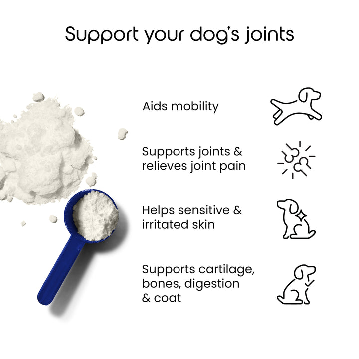 Collagen Powder For Dogs