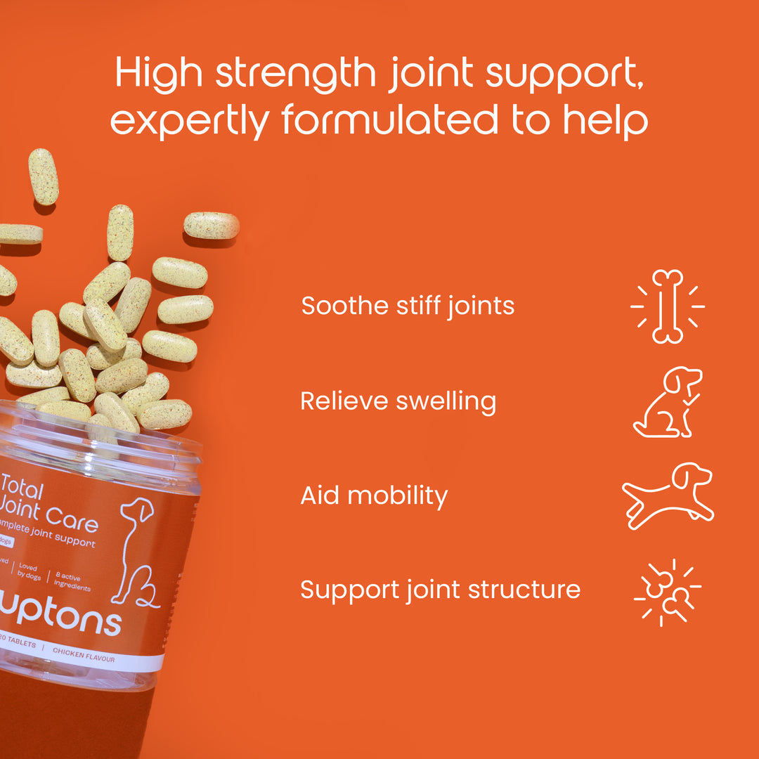 Total Joint Care Supplement For Dogs