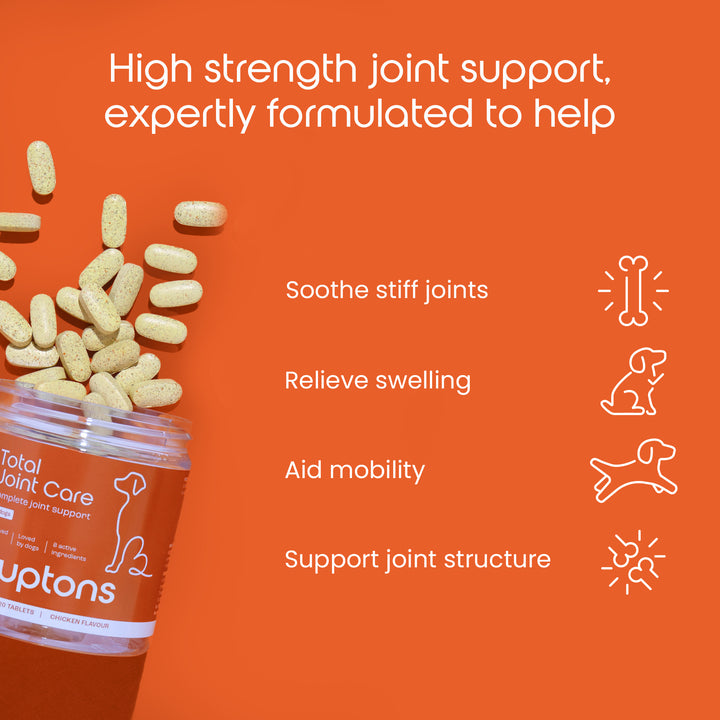 Total Joint Care Supplement For Dogs