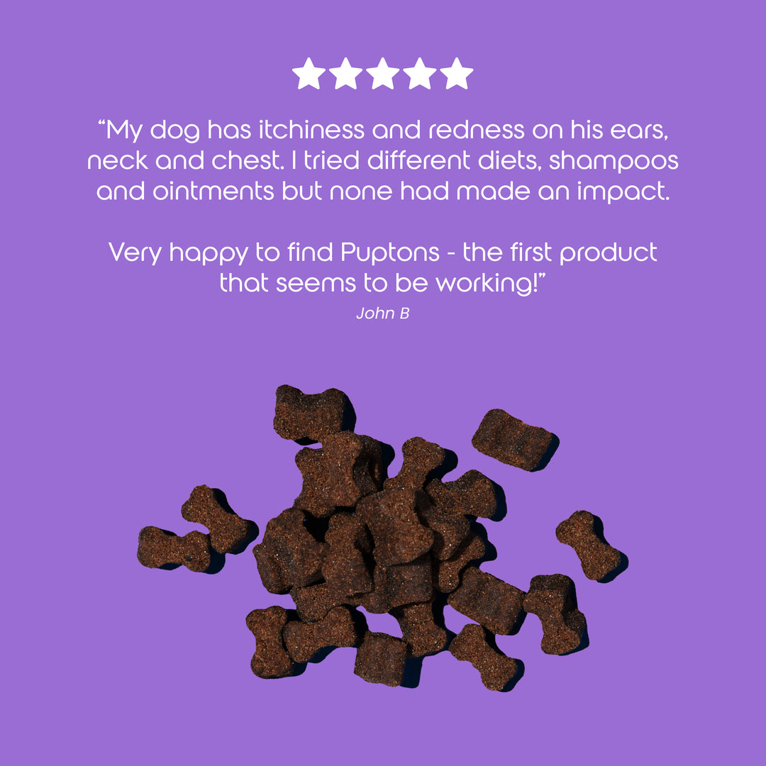 Total Itch Relief & Immunity Treats for Dogs