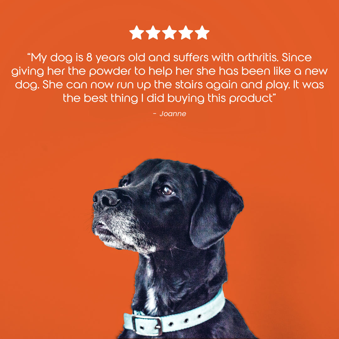 Total Joint Care Supplement For Dogs