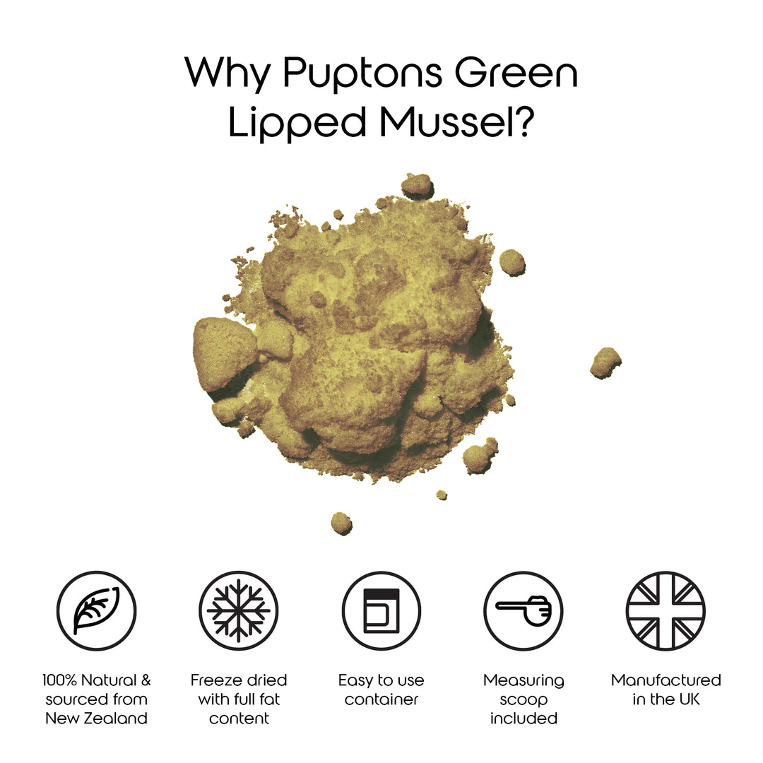 Green Lipped Mussel Powder For Dogs