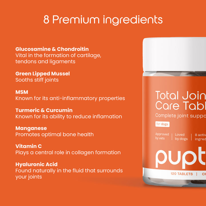 Total Joint Care Supplement For Dogs