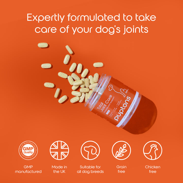 Total Joint Care Supplement For Dogs