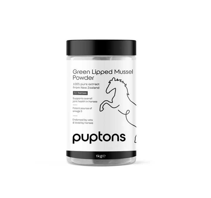 Green Lipped Mussel Powder For Horses