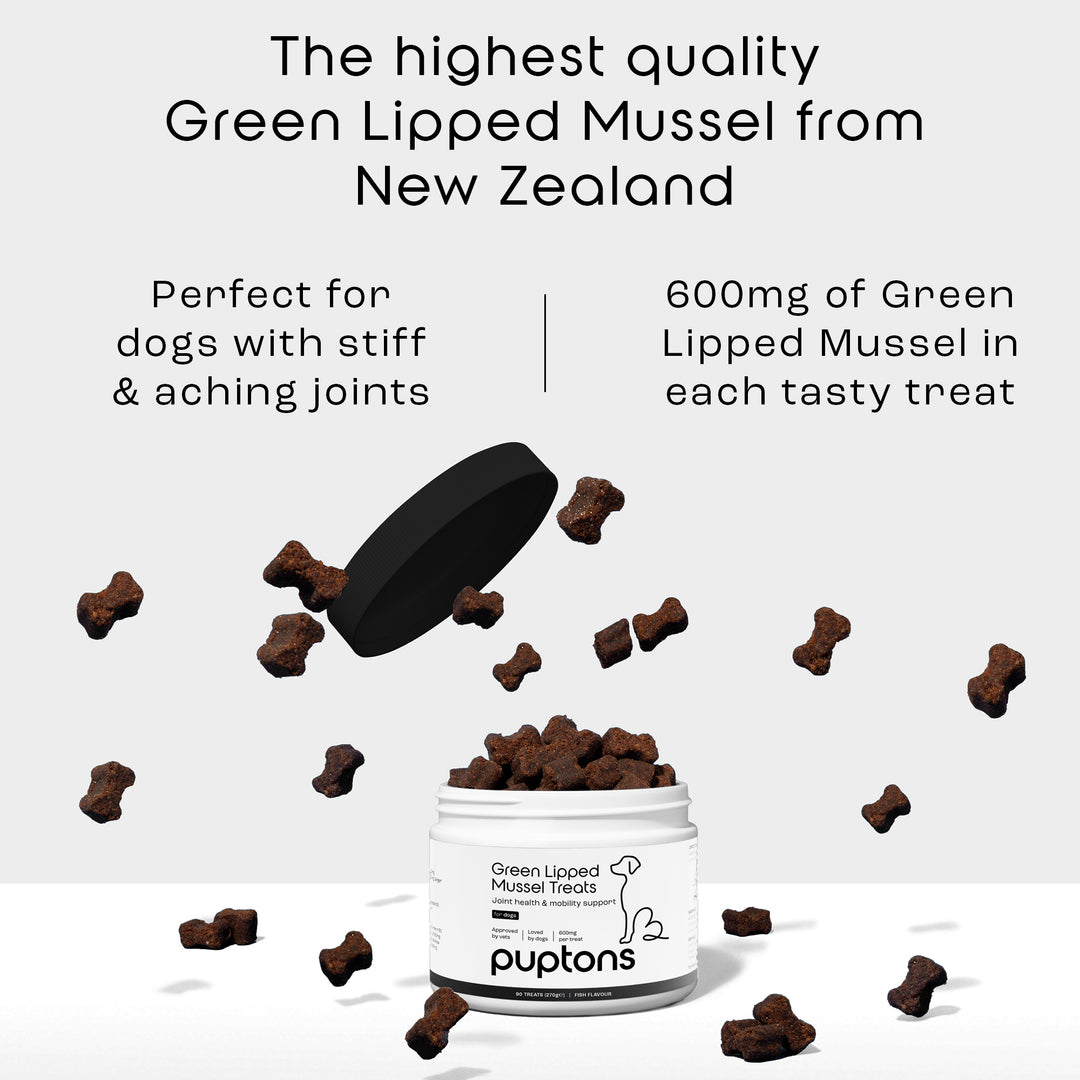 Green Lipped Mussel Treats for Dogs