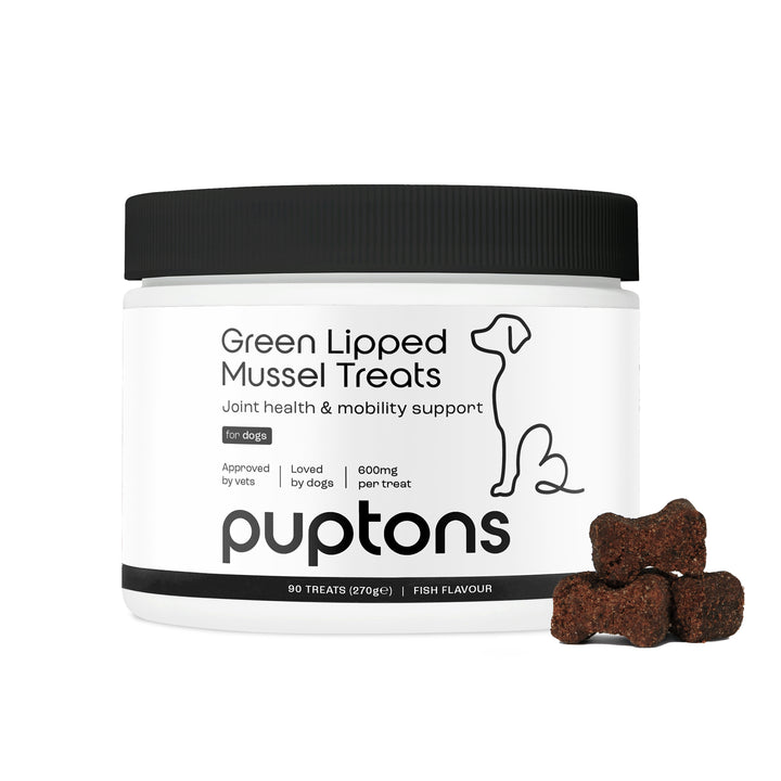 Green Lipped Mussel Treats for Dogs