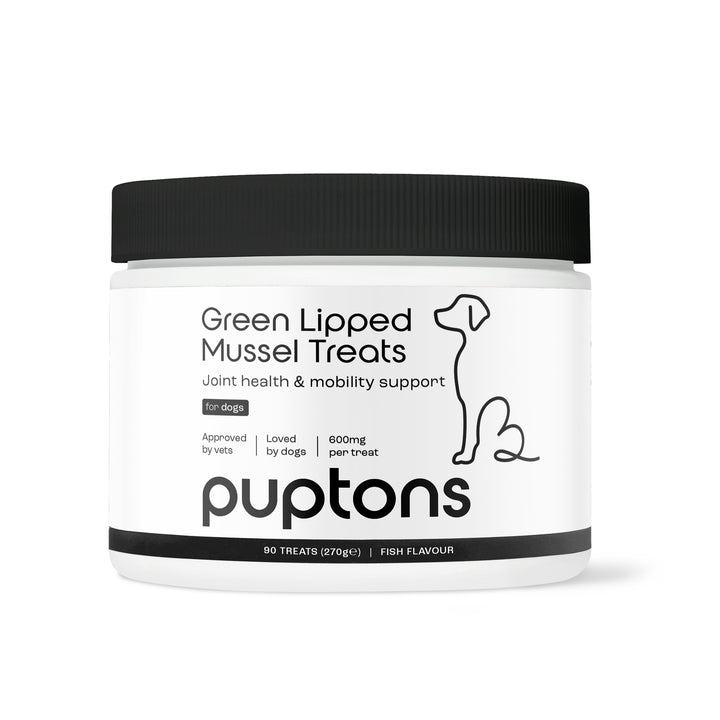 Green Lipped Mussel Treats for Dogs