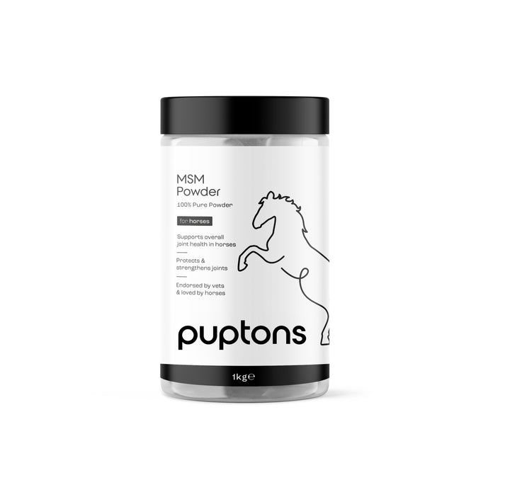 MSM Powder for Horses