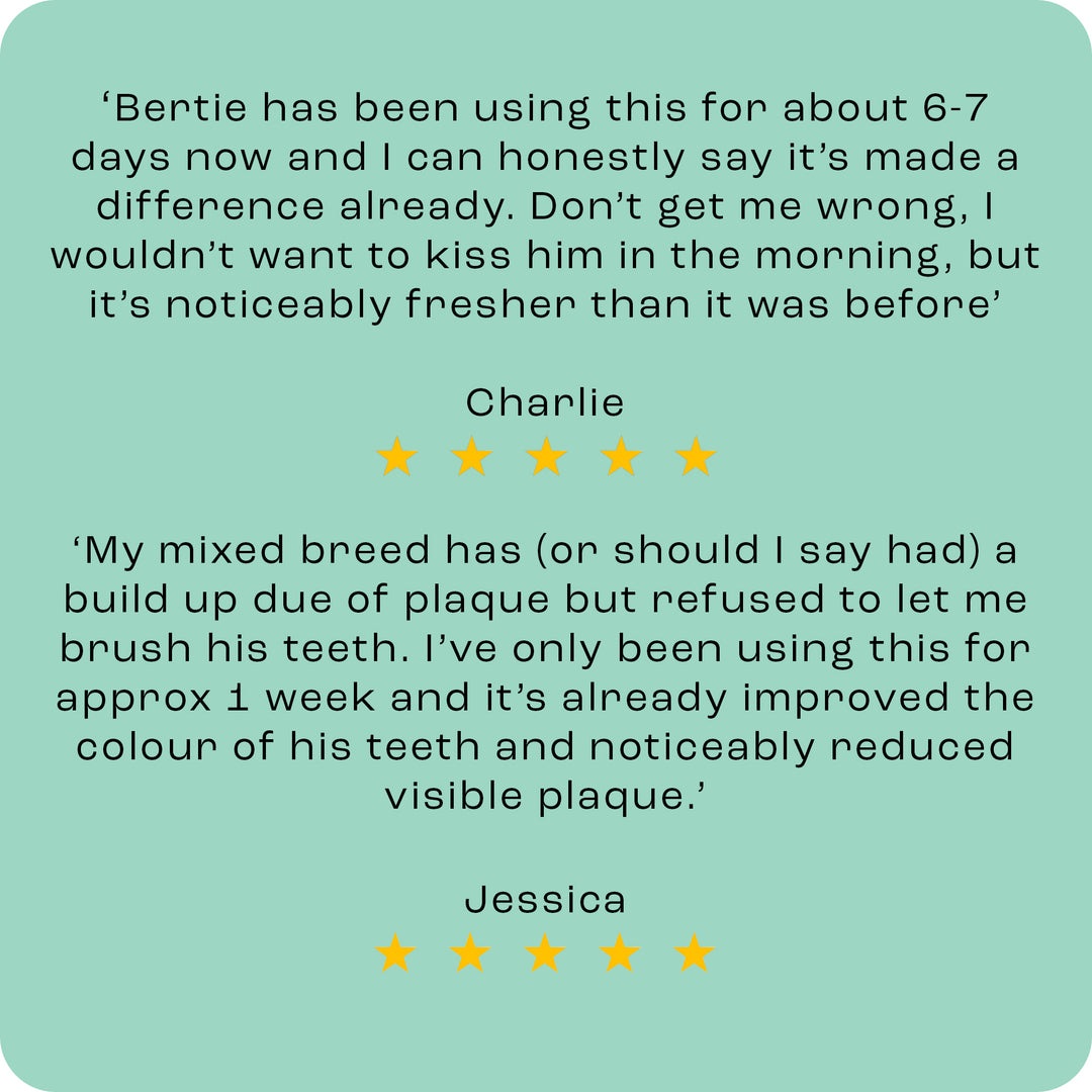 Total Dental Care Supplement For Dogs