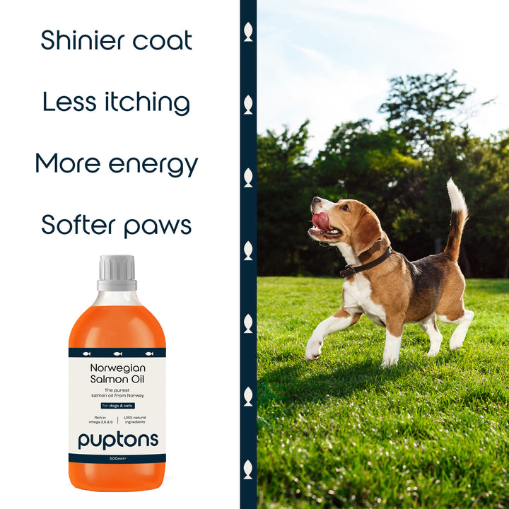 Norwegian Salmon Oil For Dogs & Cats