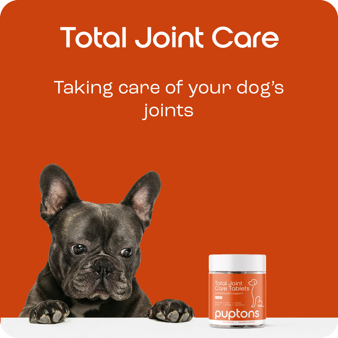 Total Joint Care Supplement For Dogs