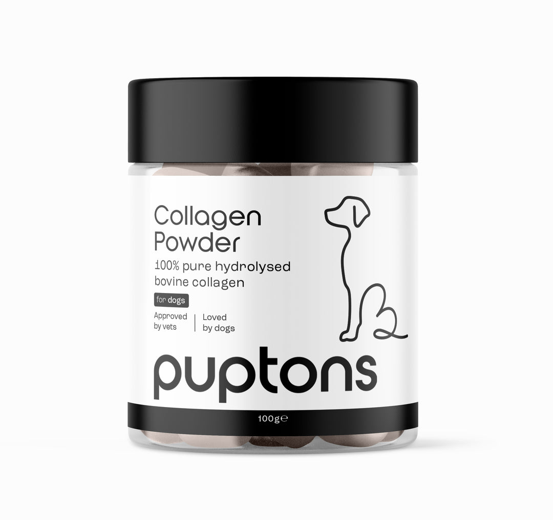 Collagen Powder For Dogs