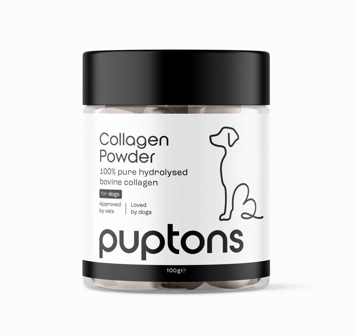 Collagen Powder For Dogs