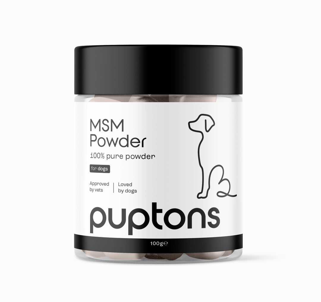 MSM Powder For Dogs