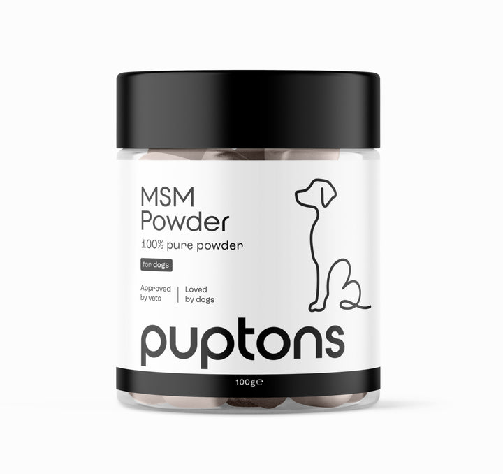 MSM Powder For Dogs