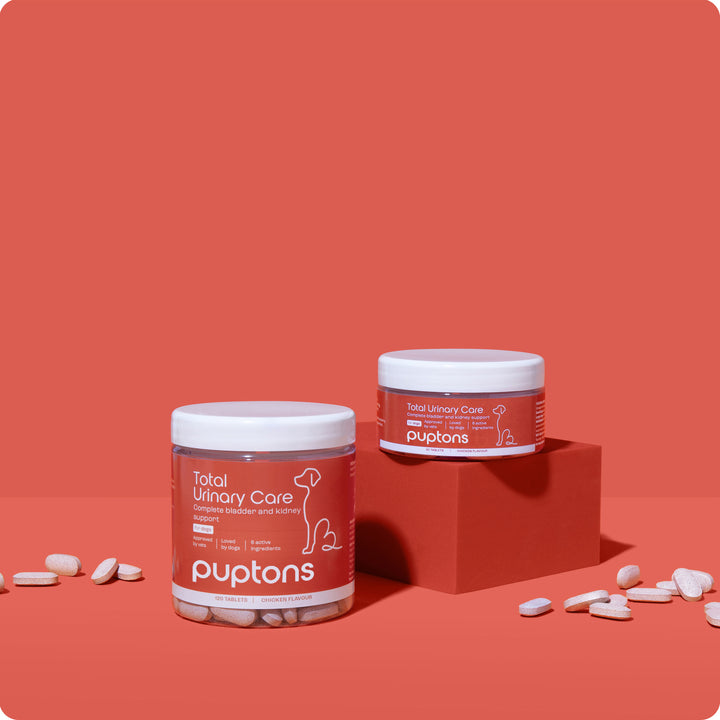 Total Urinary Care Supplement For Dogs