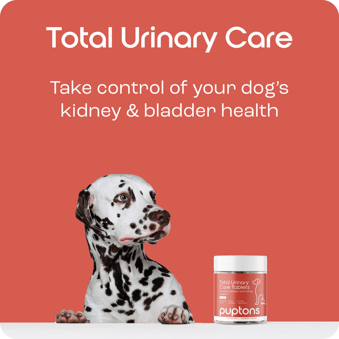 Total Urinary Care Supplement For Dogs