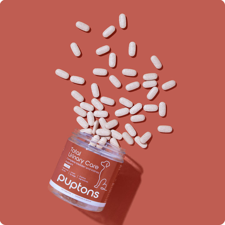 Total Urinary Care Supplement For Dogs