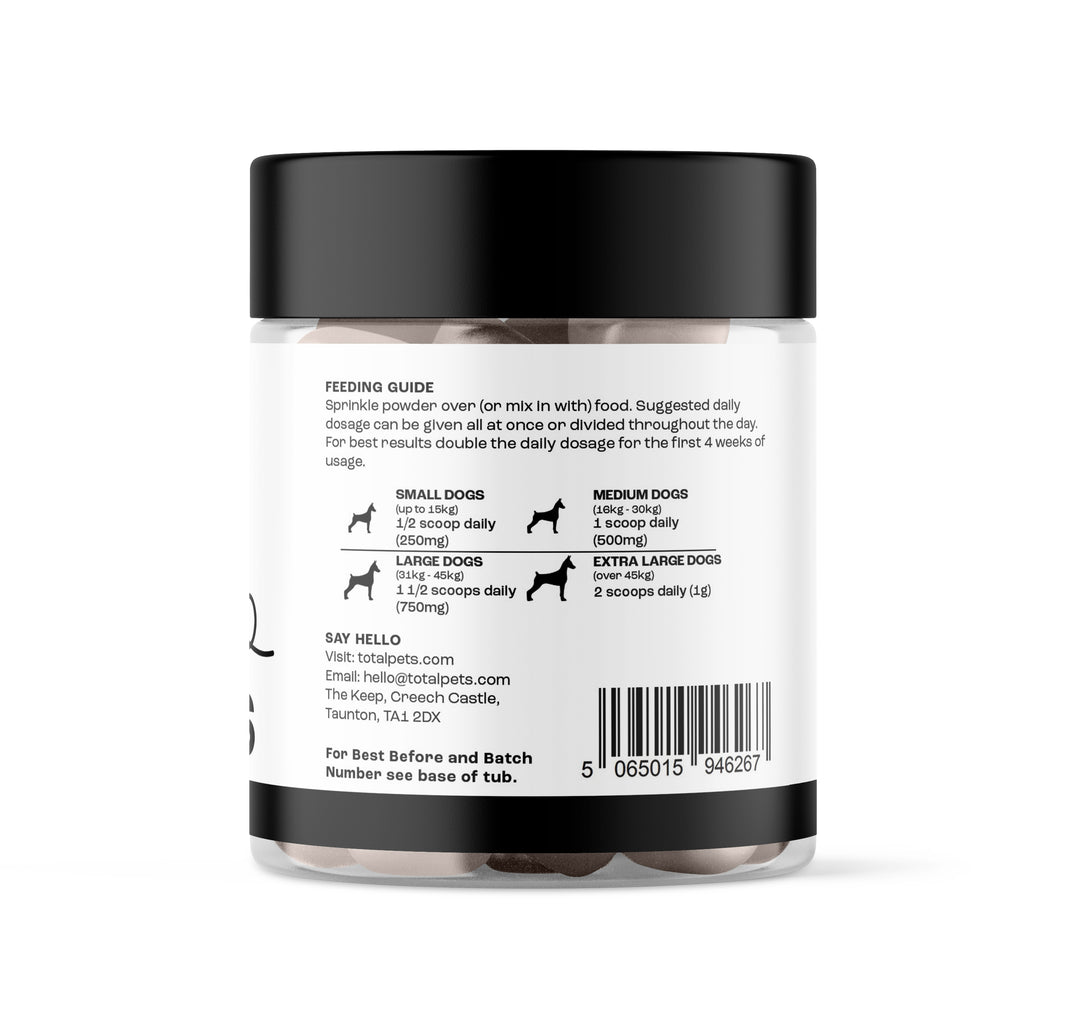 MSM Powder For Dogs