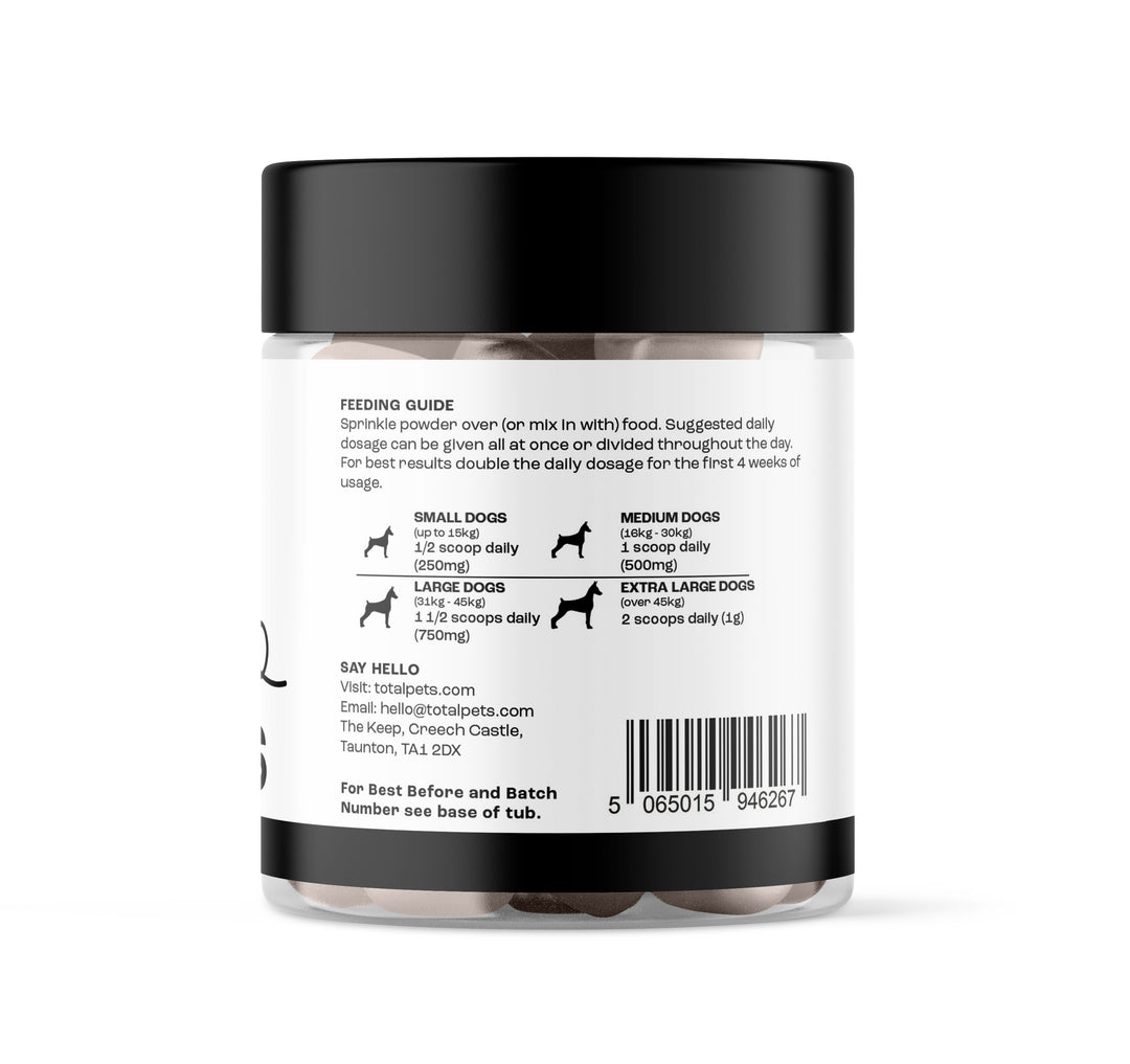 MSM Powder For Dogs