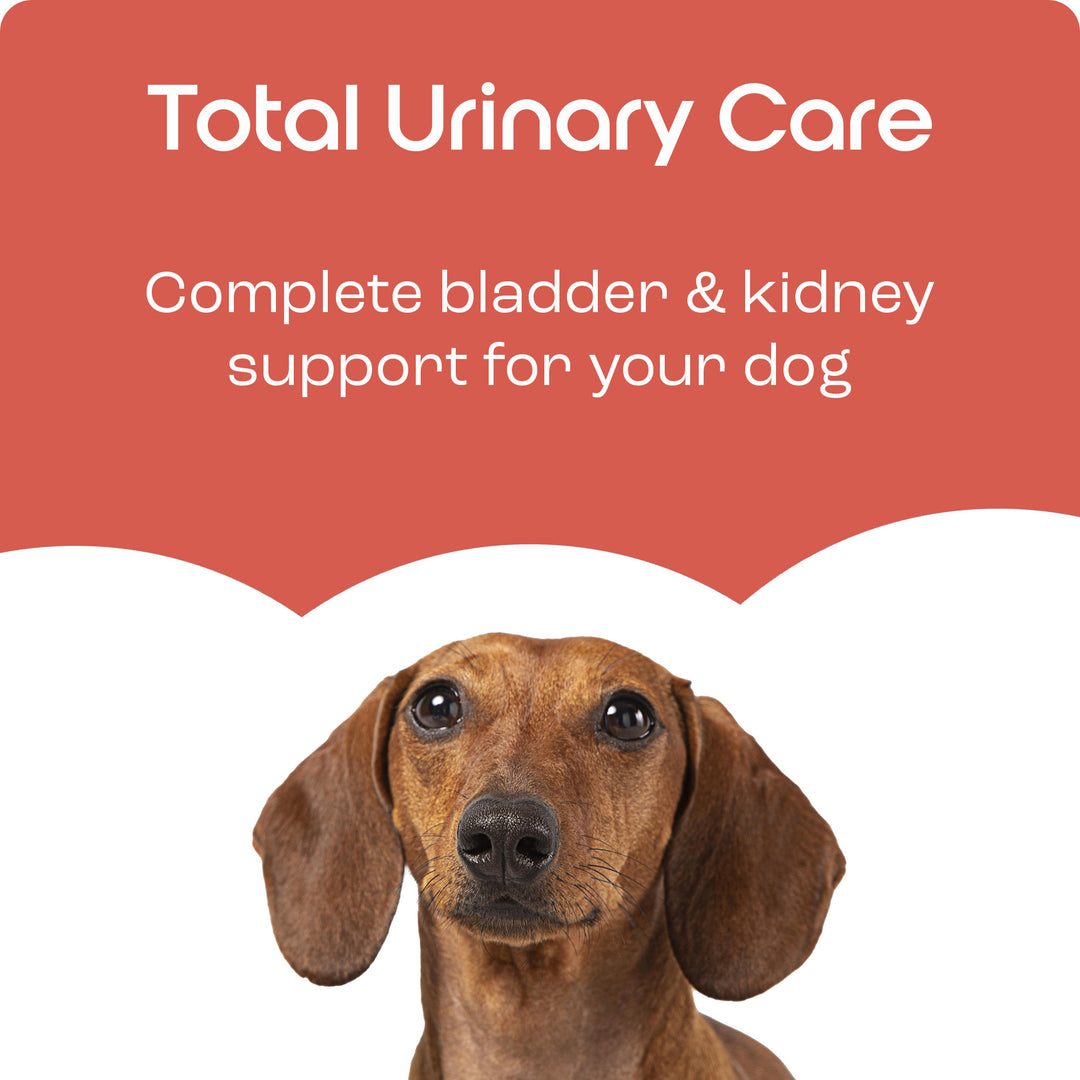 Total Urinary Care Supplement For Dogs