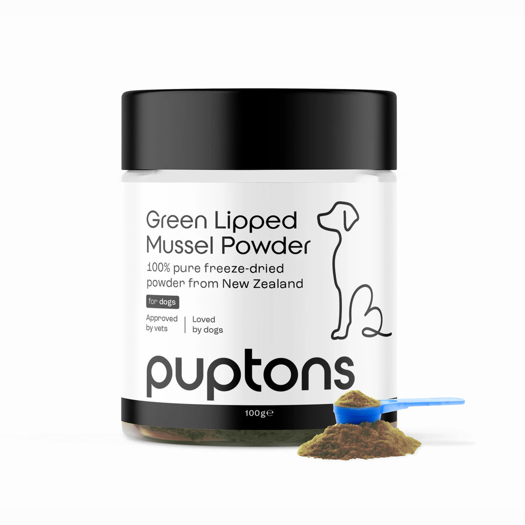 Grünlippmuschelpulver für Hunde