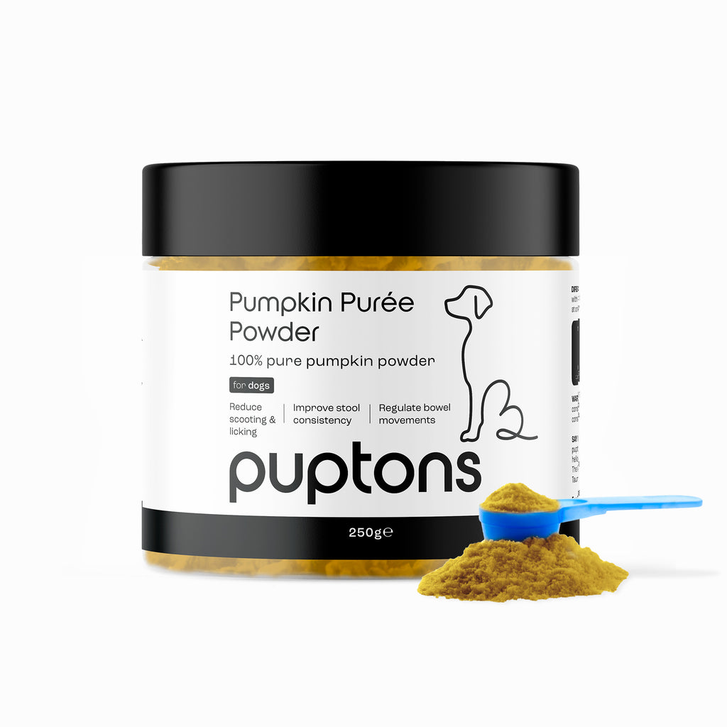 Pumpkin Puree Powder for Dogs – Puptons