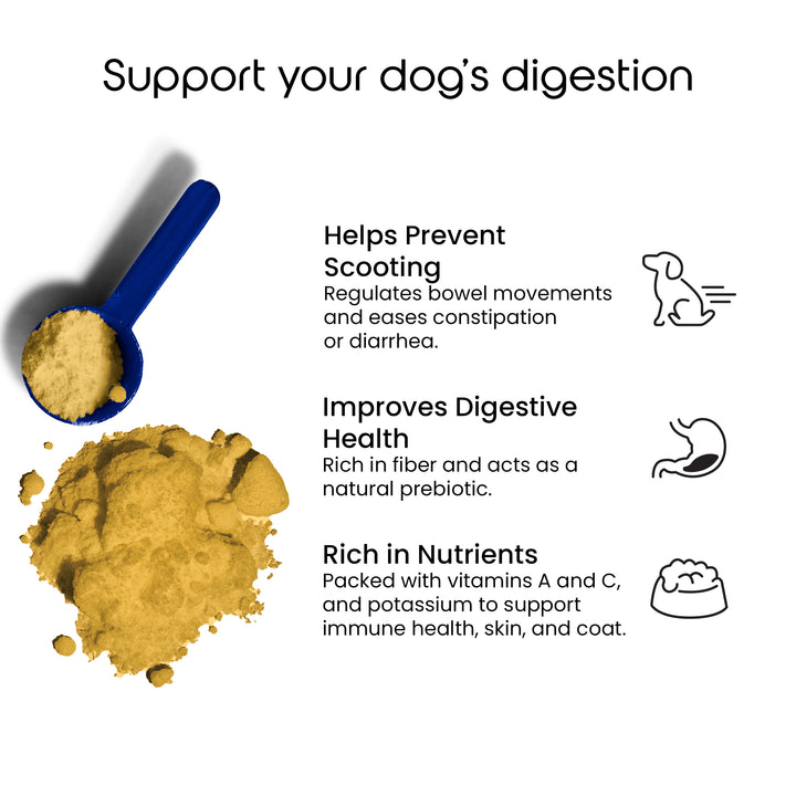 Pumpkin Puree Powder for Dogs