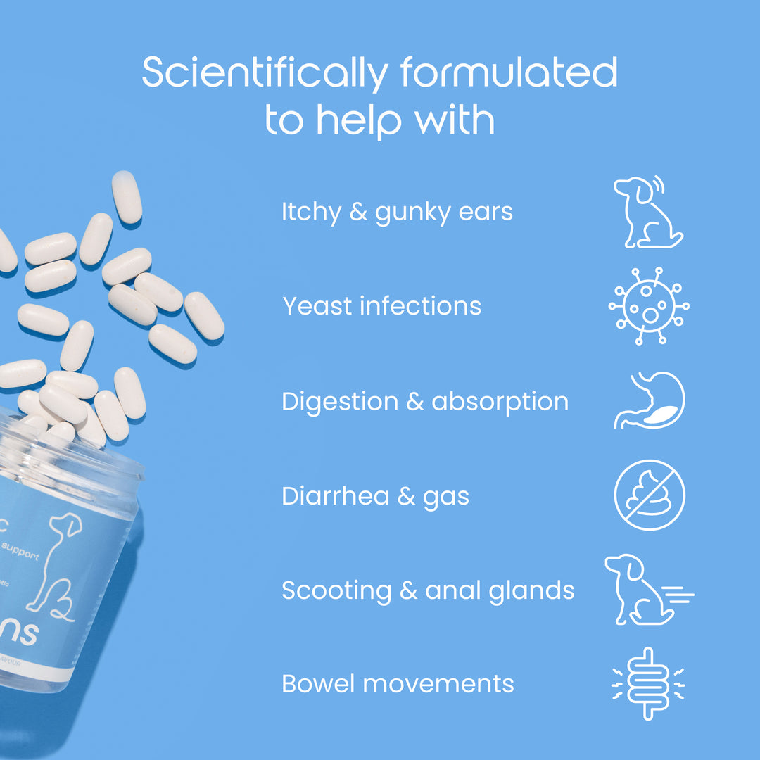 Total probiotische Tabletten für Hunde
