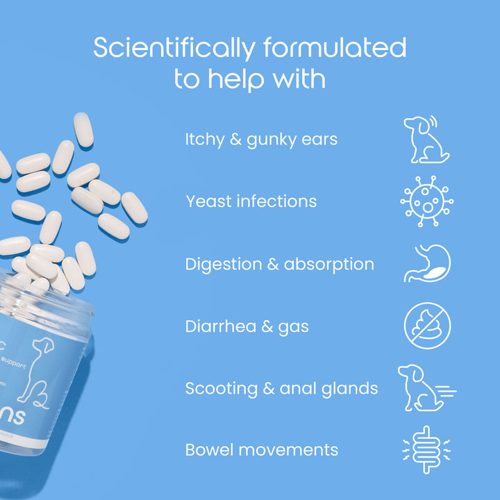 Total probiotische Tabletten für Hunde