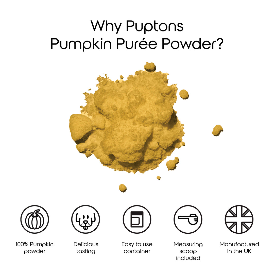 Pumpkin Puree Powder for Dogs