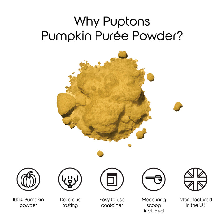 Pumpkin Puree Powder for Dogs
