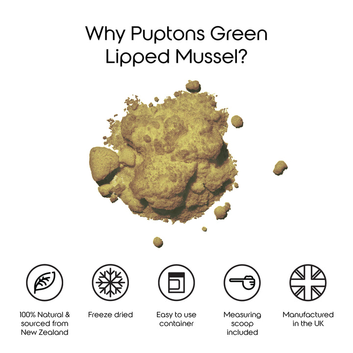 Green Lipped Mussel Powder For Dogs