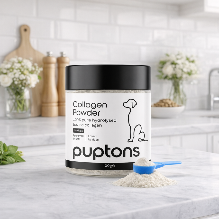 Collagen Powder For Dogs – Puptons
