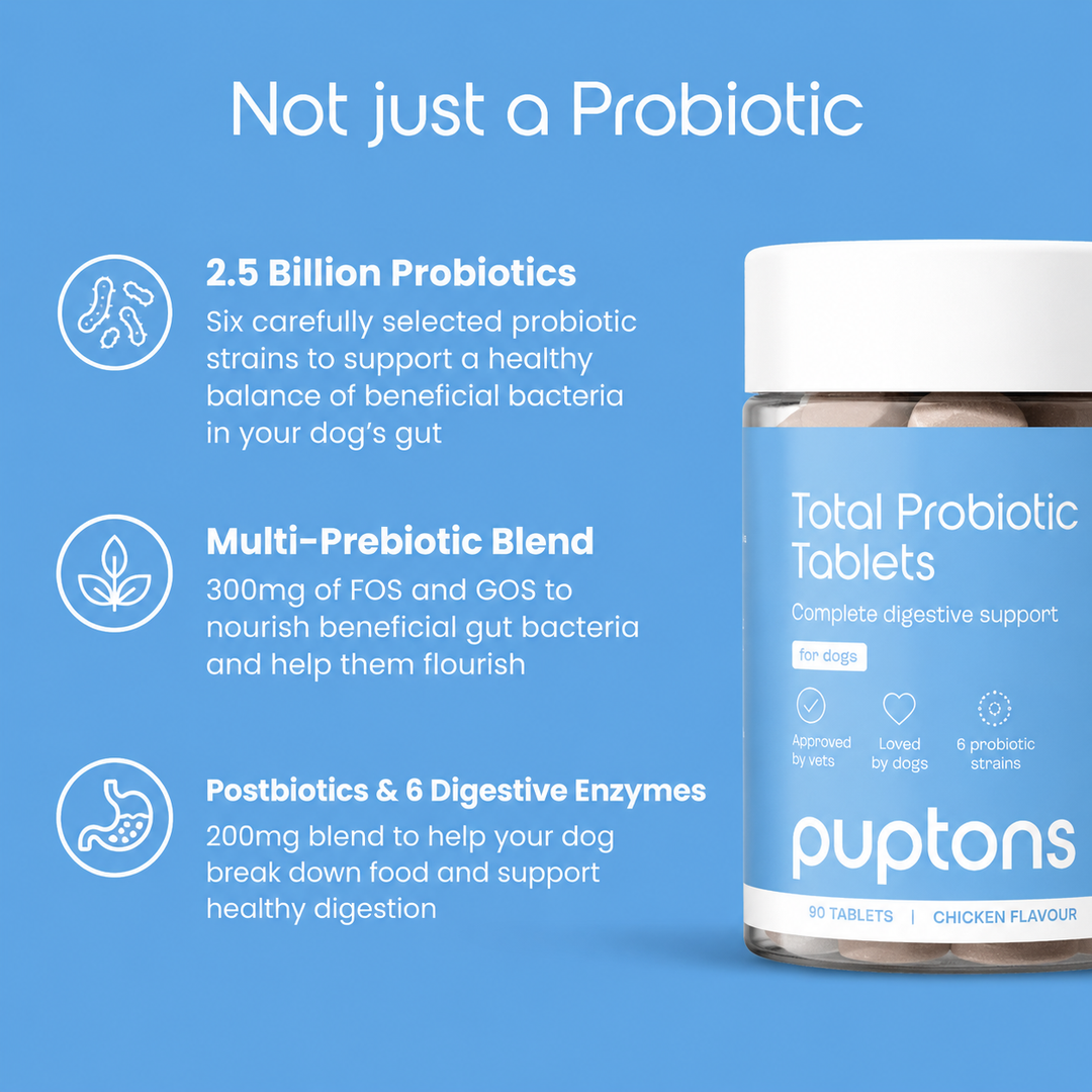 Total probiotische Tabletten für Hunde