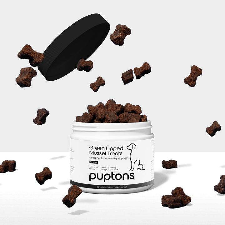 Green Lipped Mussel Treats for Dogs