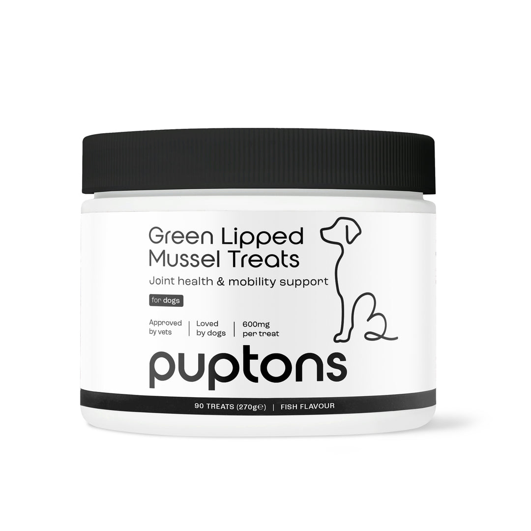 Green Lipped Mussel Treats for Dogs