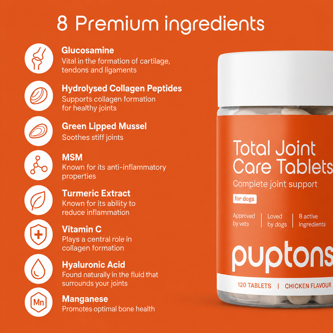 Total Joint Care Supplement For Dogs