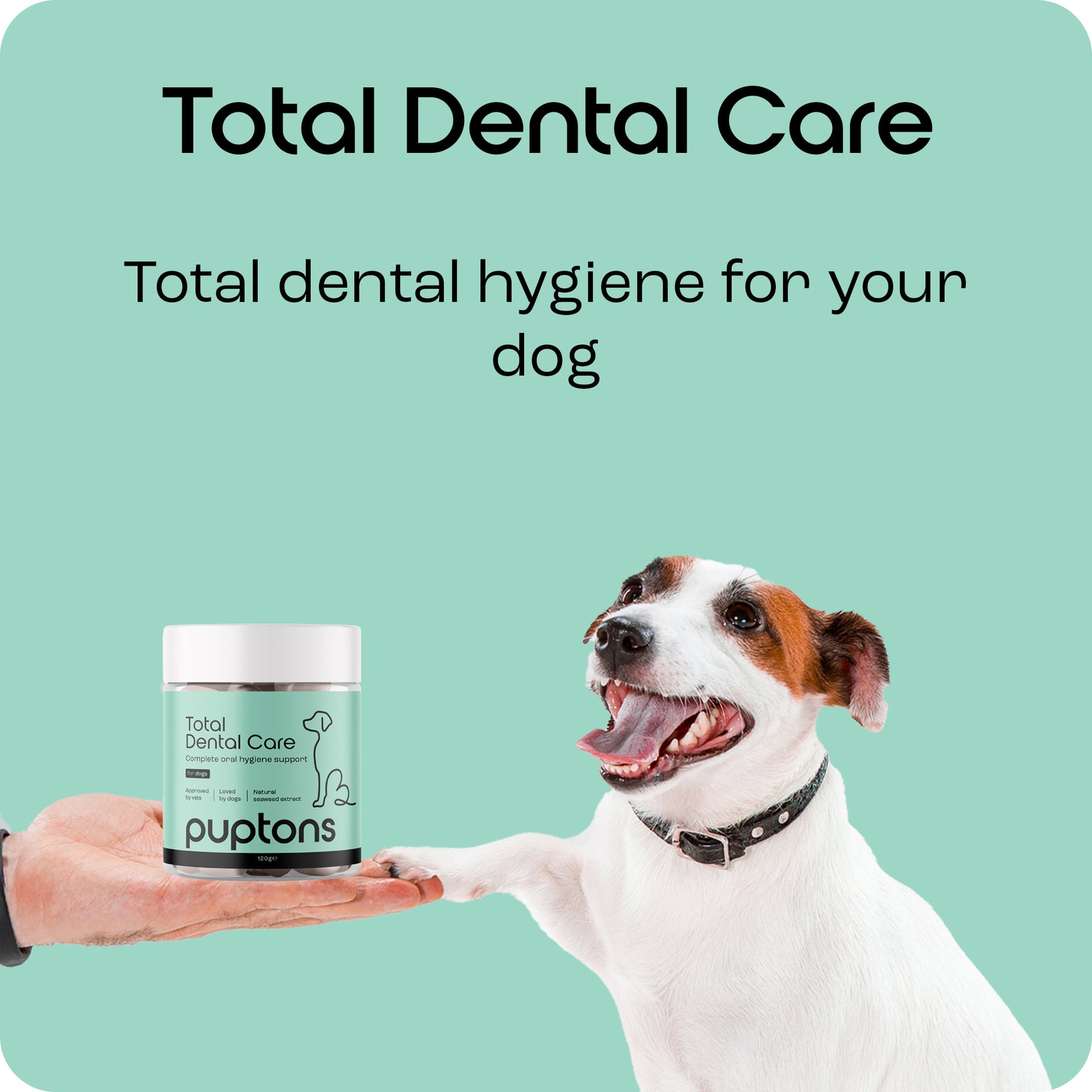 Total Dental Care Supplement For Dogs – Puptons