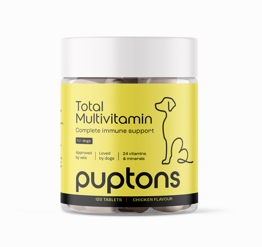 Komplettes Multivitaminpräparat für Hunde