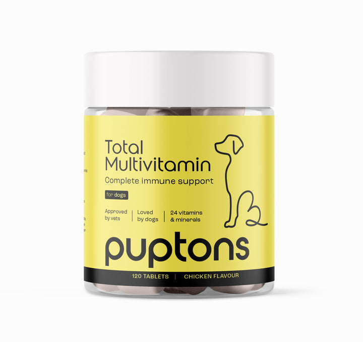 Komplettes Multivitaminpräparat für Hunde