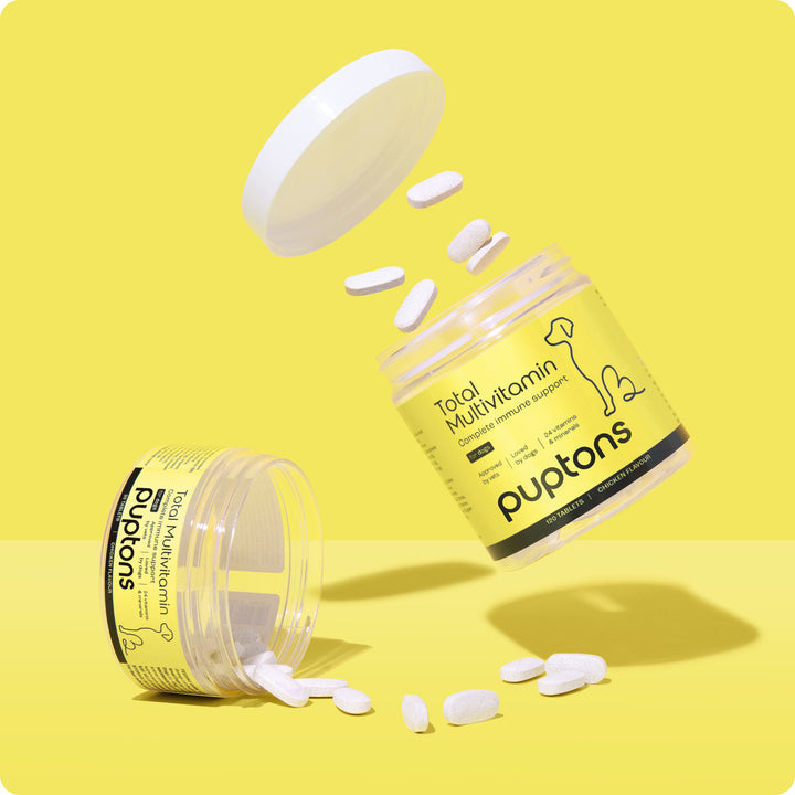 Komplettes Multivitaminpräparat für Hunde