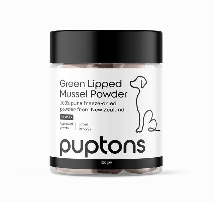 Grünlippmuschelpulver für Hunde