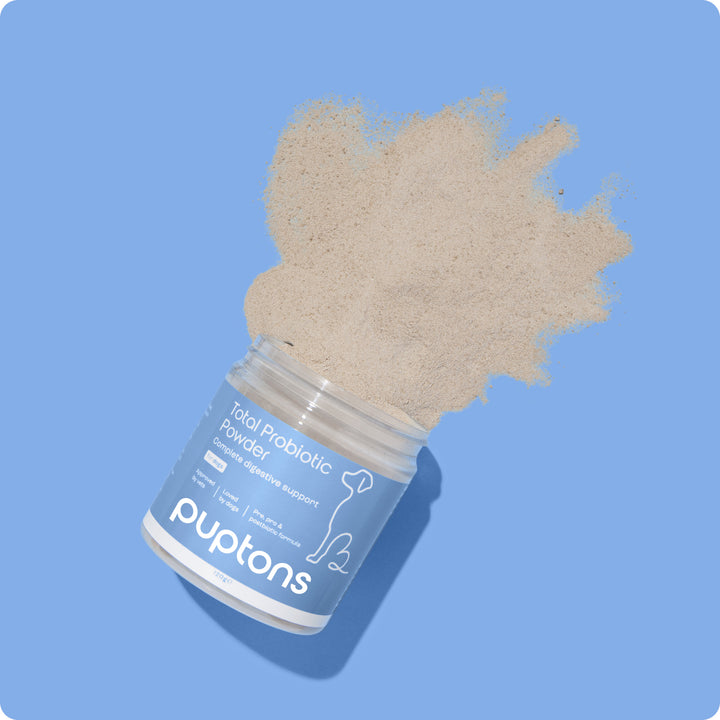 Total Probiotic Powder For Dogs